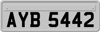 AYB5442