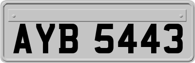AYB5443
