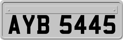 AYB5445