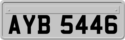 AYB5446