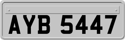 AYB5447