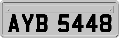 AYB5448