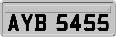 AYB5455