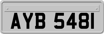 AYB5481