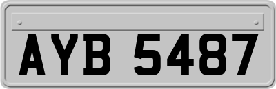 AYB5487