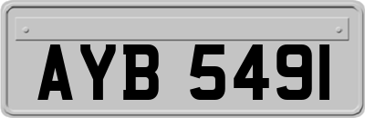 AYB5491