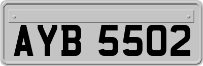 AYB5502