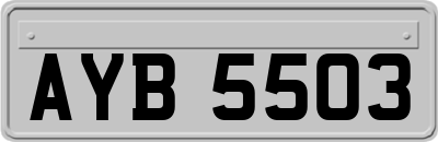 AYB5503