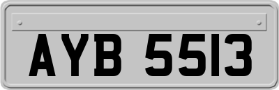 AYB5513