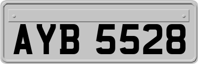 AYB5528