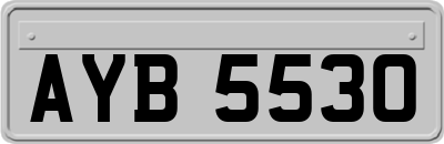 AYB5530