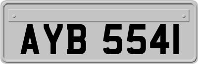 AYB5541
