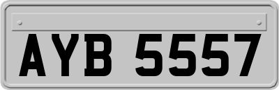 AYB5557