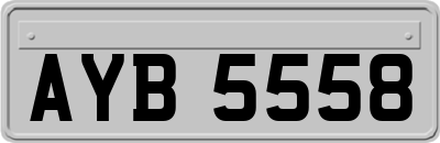 AYB5558