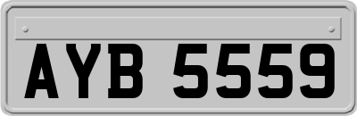 AYB5559