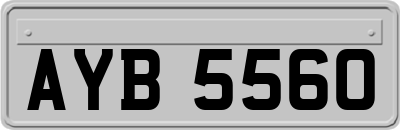 AYB5560