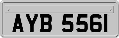 AYB5561