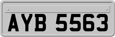 AYB5563
