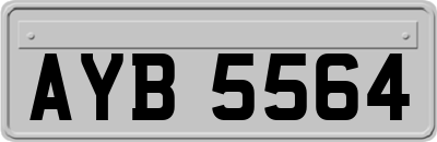 AYB5564