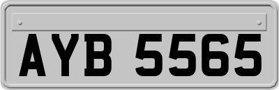 AYB5565