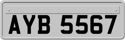 AYB5567