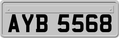 AYB5568