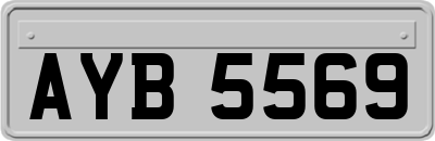 AYB5569
