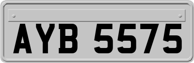 AYB5575