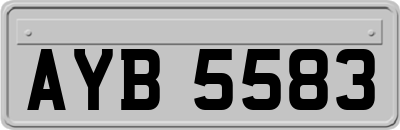 AYB5583