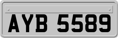 AYB5589