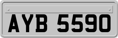 AYB5590