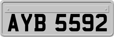 AYB5592