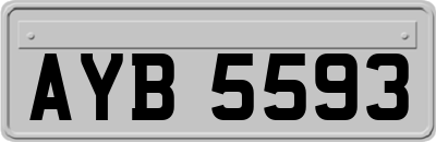 AYB5593