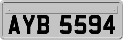 AYB5594