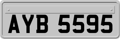 AYB5595