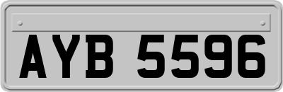 AYB5596