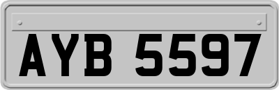 AYB5597