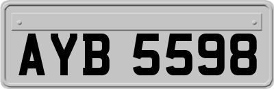 AYB5598