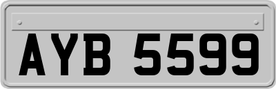 AYB5599