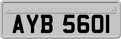 AYB5601