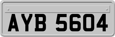 AYB5604