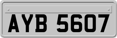AYB5607