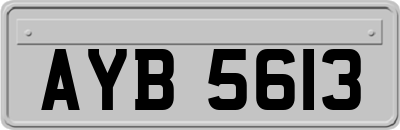 AYB5613