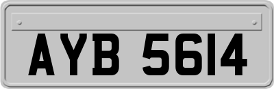 AYB5614