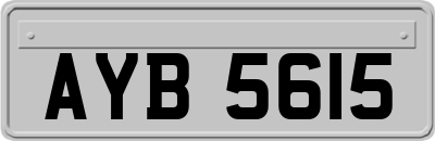 AYB5615