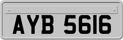 AYB5616