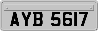 AYB5617