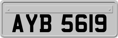 AYB5619