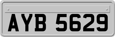 AYB5629