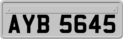 AYB5645